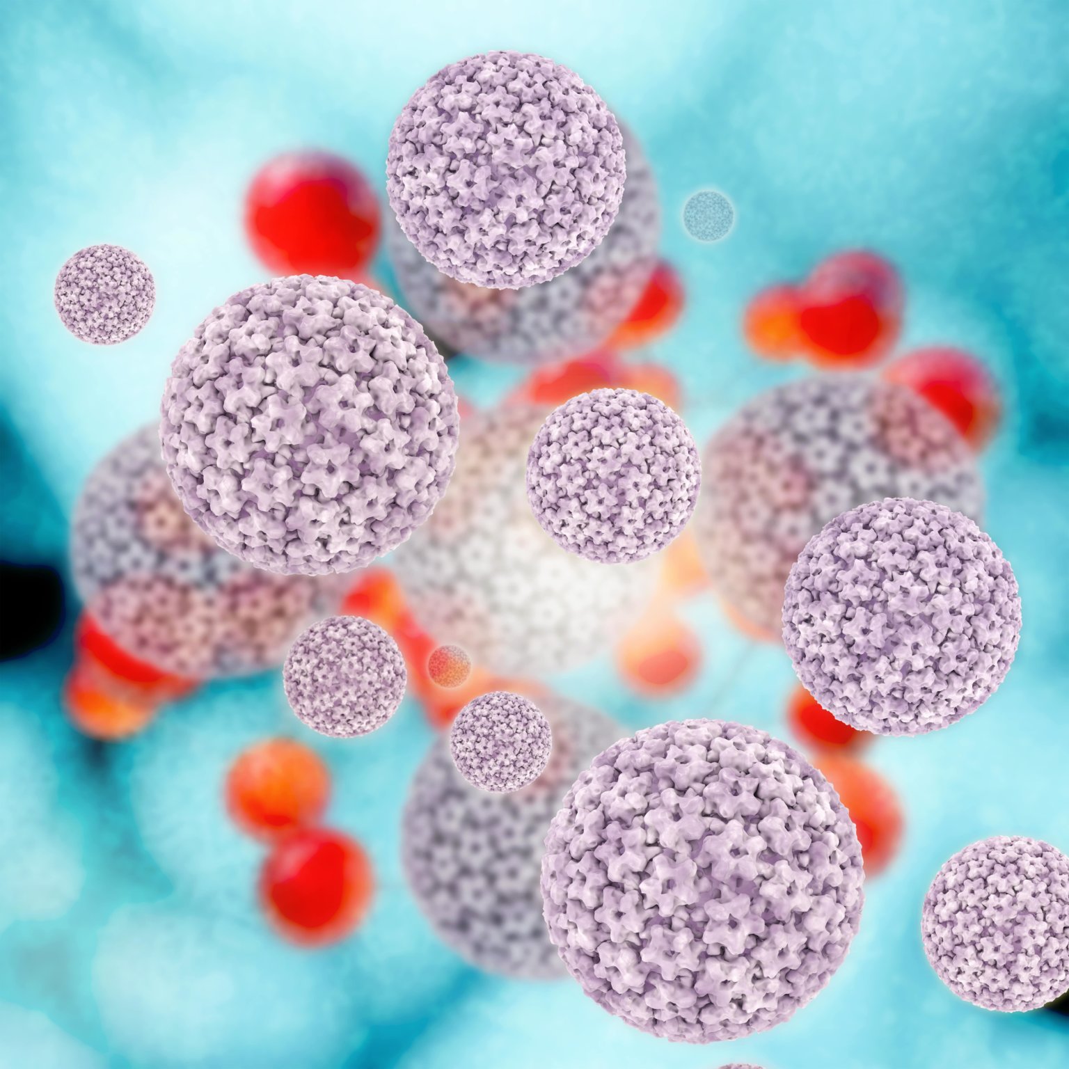 papilloma virus e gravidanza