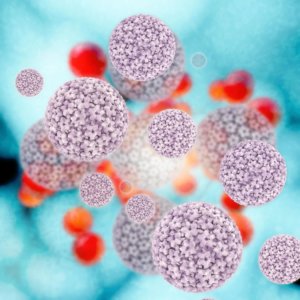 HPV　ヒトパピローマウイルス　種類
